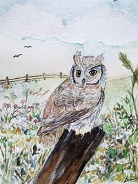 Image 2 of Meadow Owl | Original 6x8 Watercolor Painting or Fine Art Print