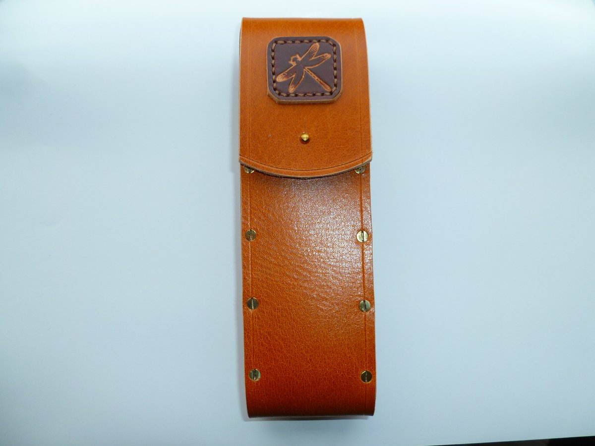 Image of The Dragonfly Float case (2)