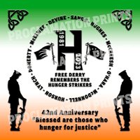 Image 1 of 1981 Hunger Strike 42nd Anniversary Box Frame