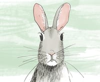 Rose Rabbit