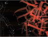 ORDER & CHAOS, THE SECRET OF THE COMPOSITION _PRERECORDED LESSONS