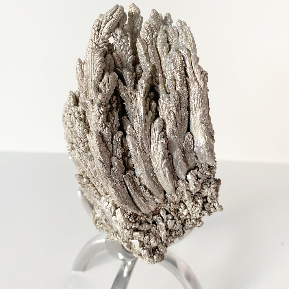 Image of Magnesium Ore No.55 + Chrome Claw Stand