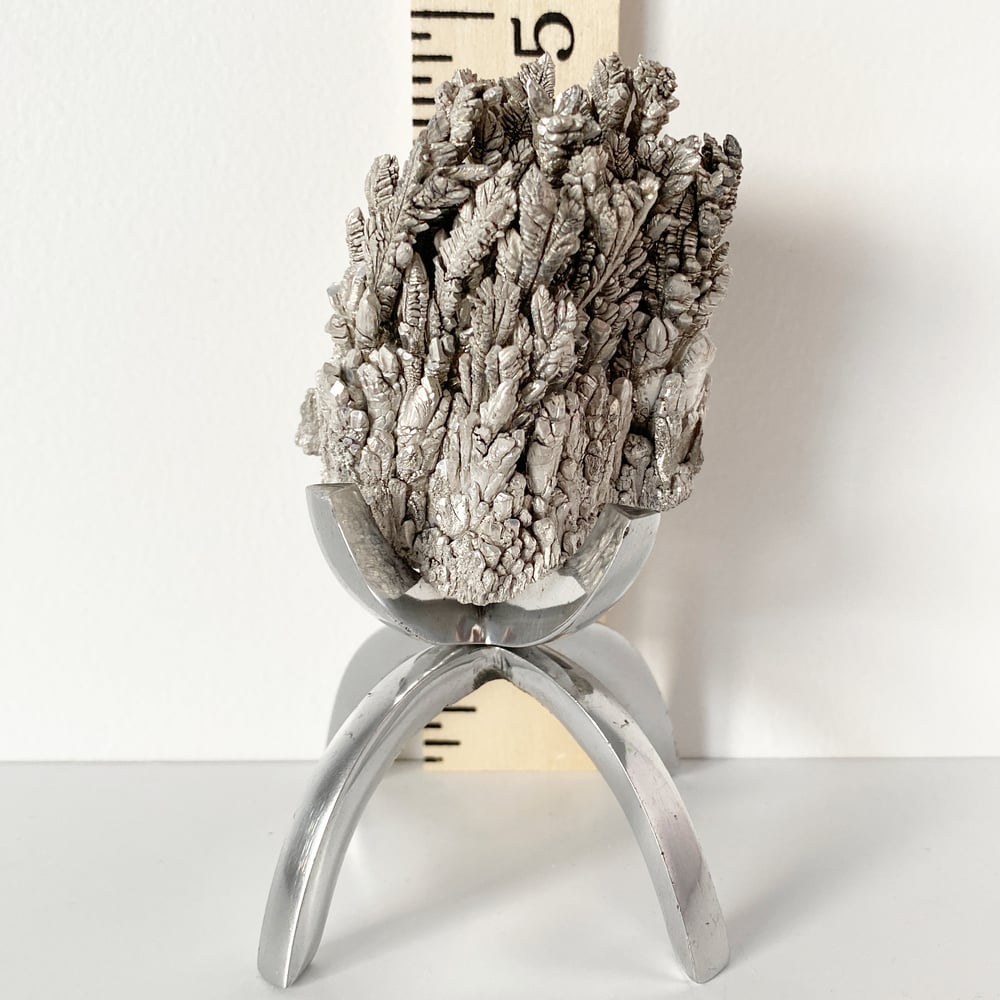 Image of Magnesium Ore No.36 + Chrome Claw Stand