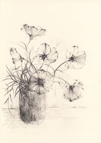 Vase of cosmos no. 2