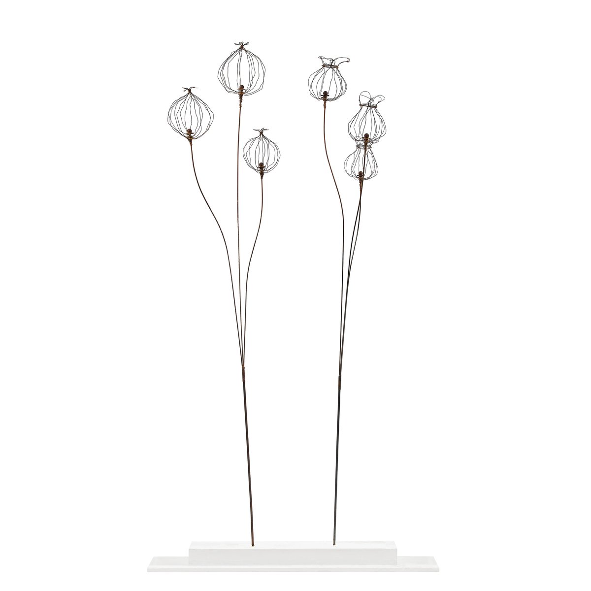 Tall triple poppy seed plant stake