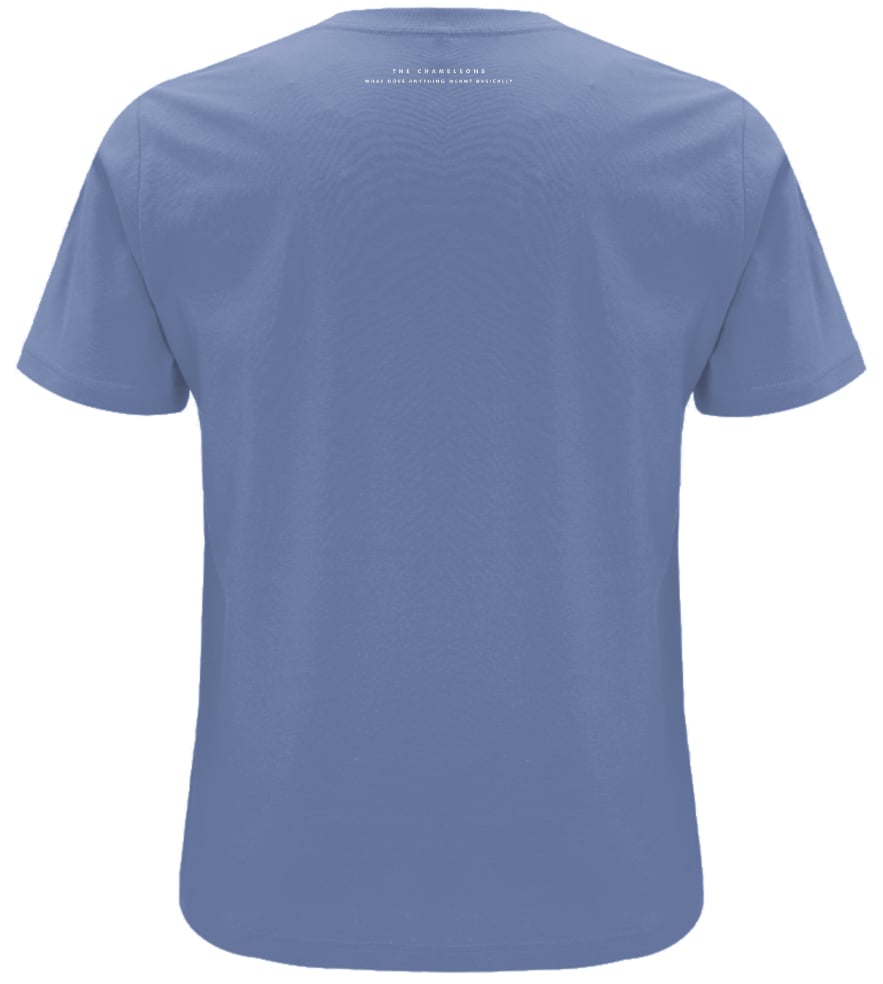 WDAMB Tshirt (Blue) 