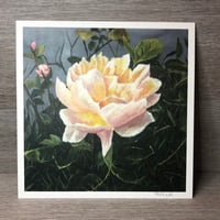 Image 2 of Rose Print 20x20cm