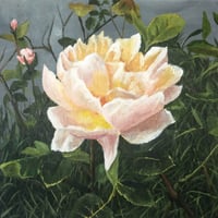 Image 1 of Rose Print 20x20cm