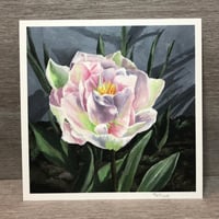 Image 2 of Tulip Print 20x20cml