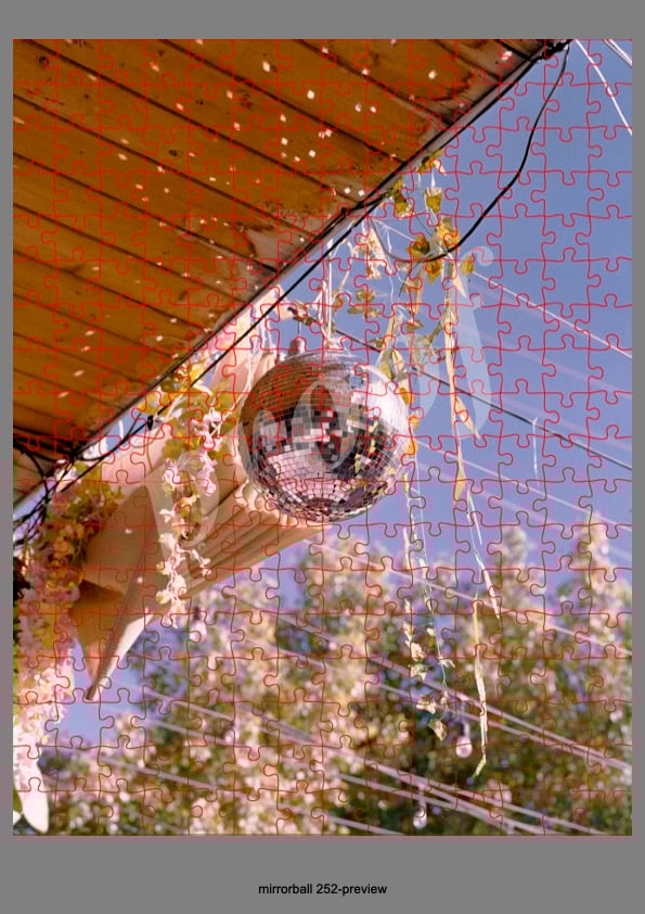Image of Mirrorball Art Puzzle