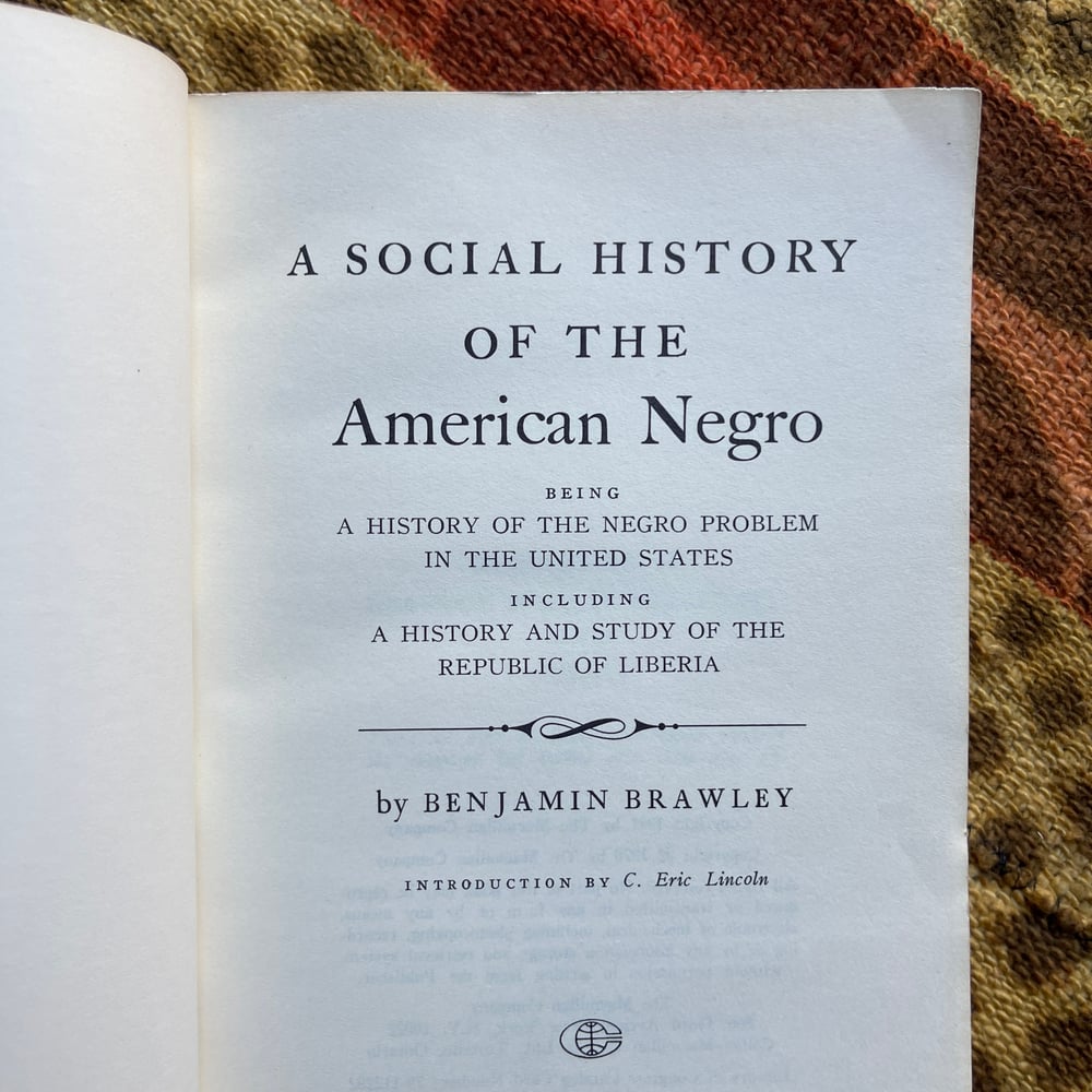 A Social History of the American Negro