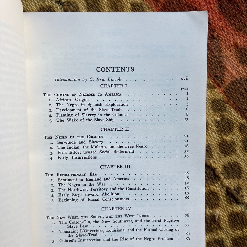 A Social History of the American Negro
