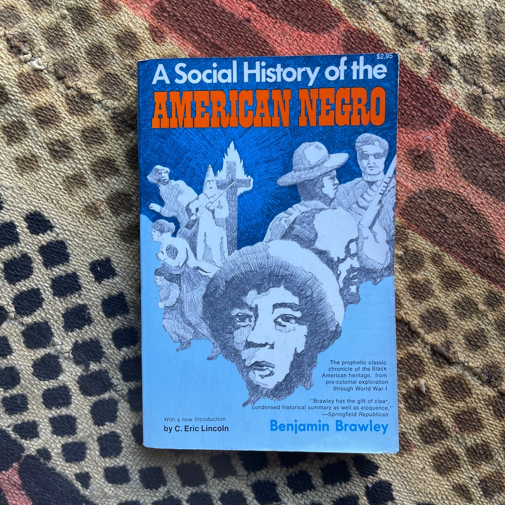 A Social History of the American Negro