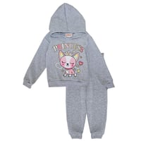Image 3 of GIRLS Toddler Princess Hooded Pull Over 2 PC Jogger Set 💕
