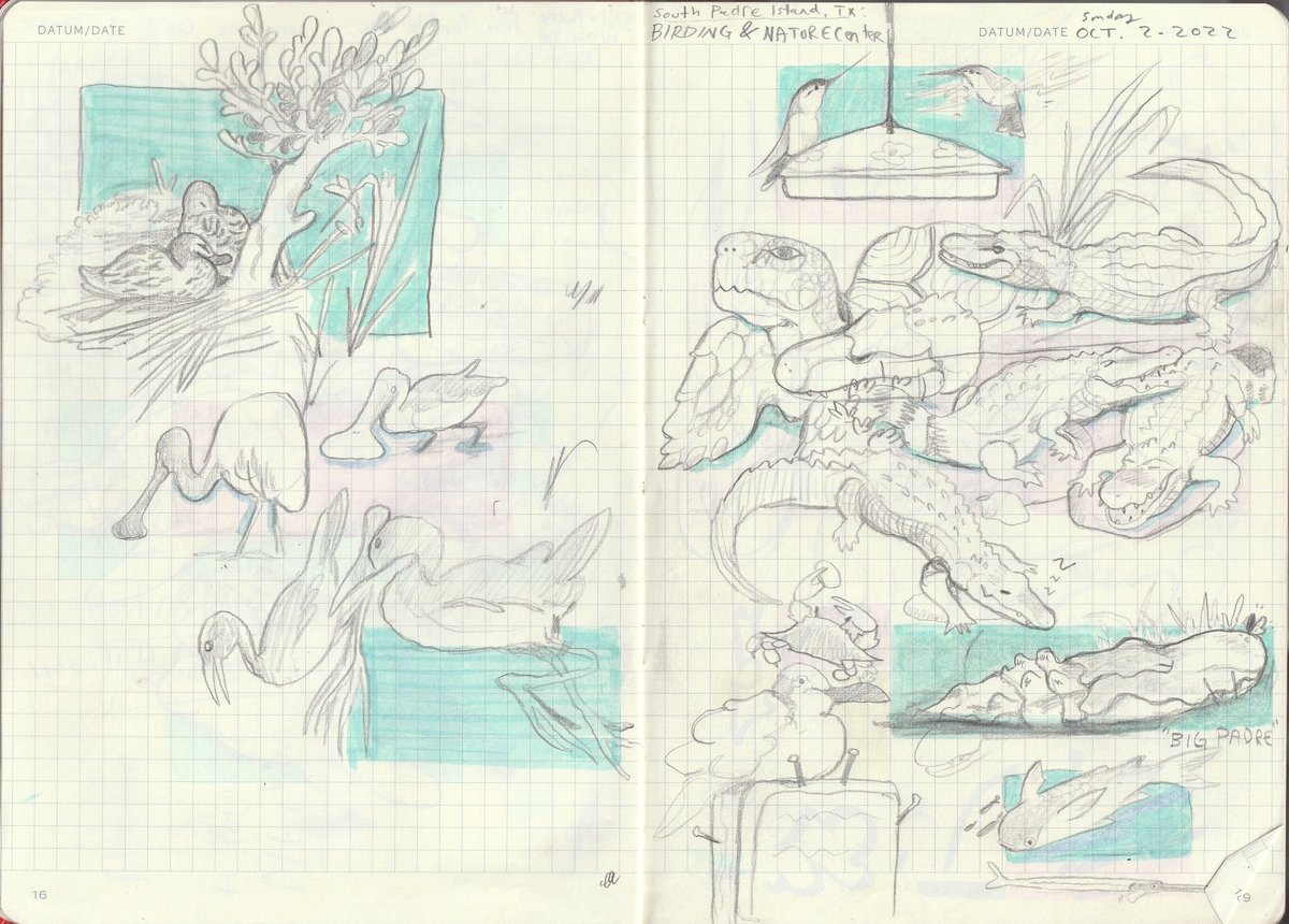 Image of October 2022 Sketchbook (Digital PDF)