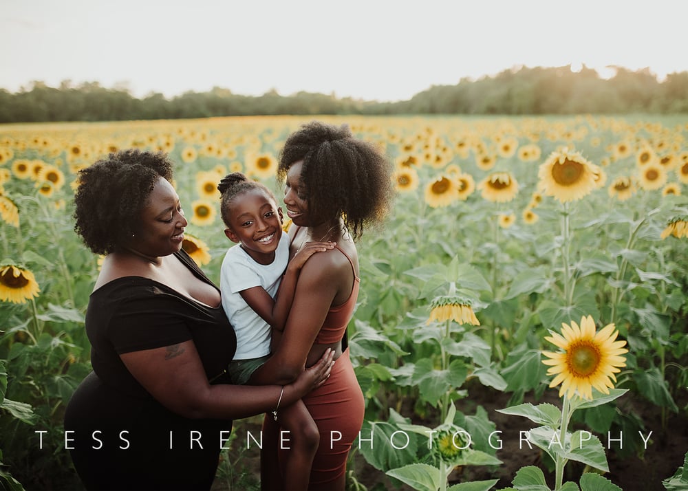 Image of FALL FAMILY SESSIONS 2024