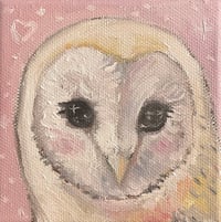 barn owl