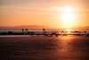 Monifieth Beach Walks