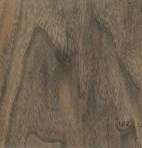 Image of Walnut (Australian) (102)