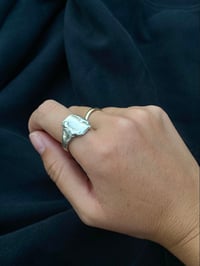 Image of Melt [made to order]