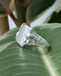 Image of Melt [made to order]