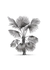 Image 4 of Palm #1 Giclee Print