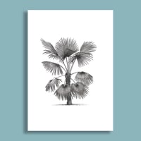 Image 2 of Palm #1 Giclee Print