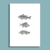 Image 3 of 3 Fish #2 Fine Art Giclee print