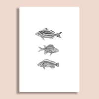 Image 2 of 3 Fish #2 Fine Art Giclee print