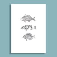 Image 4 of 3 Fish #1  Giclee print