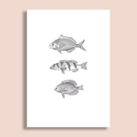 Image 2 of 3 Fish #1  Giclee print
