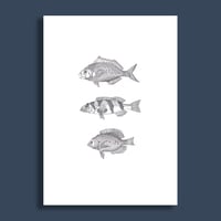 Image 3 of 3 Fish #1  Giclee print
