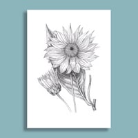 Image 3 of Sunflower #1 Giclee print