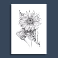 Image 4 of Sunflower #1 Giclee print