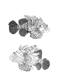 Image 2 of 2 Fish #1 Giclee print