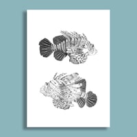 Image 4 of 2 Fish #1 Giclee print
