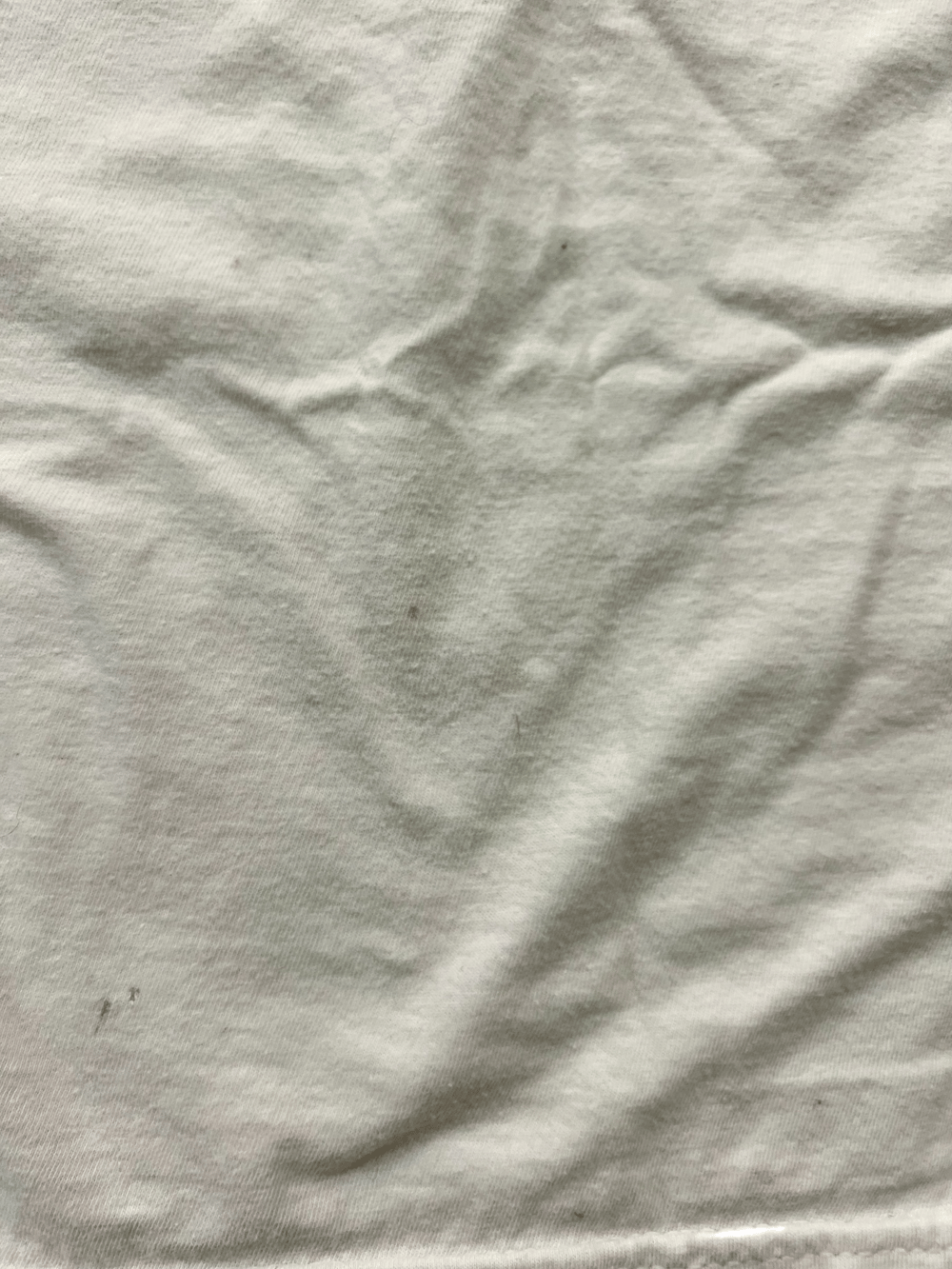 LA DEAD π CONCERT TEE