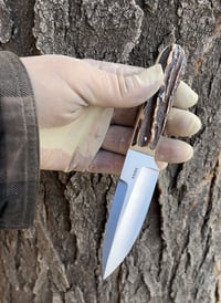 Image 1 of Stag Boss