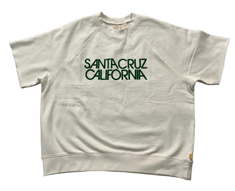 LEVI’S SANTA CRUZ GOLD TAB S