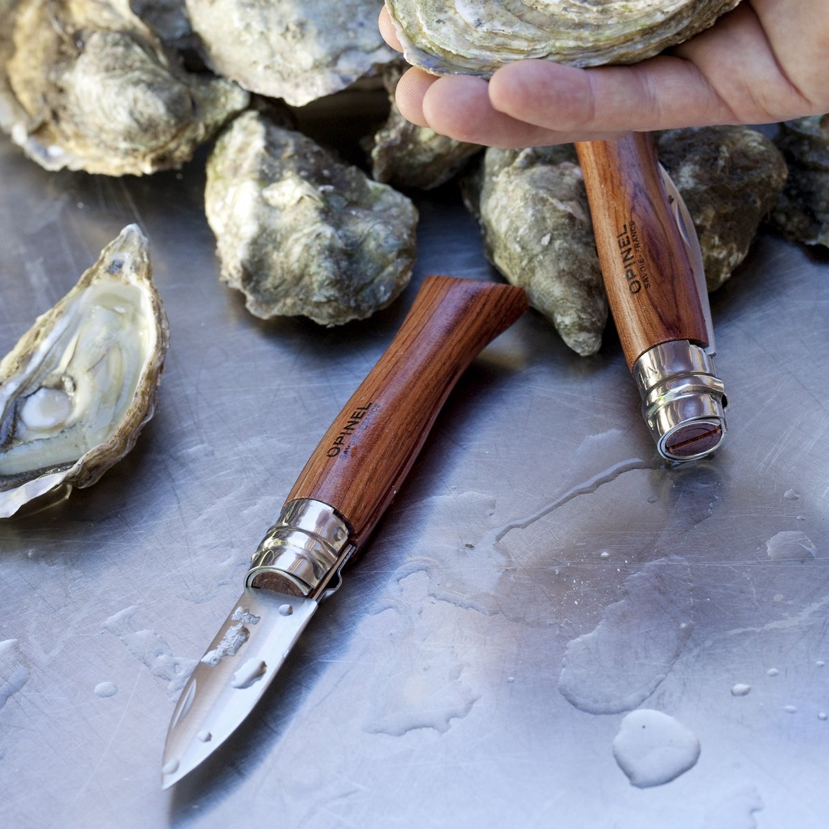 Image of Opinel Oyster Knife with Padouk Handle 