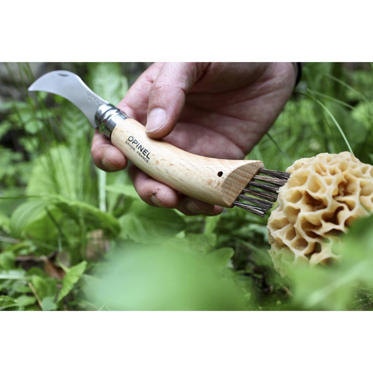 Image of Opinel N°8 Mushroom Knife with Brush 