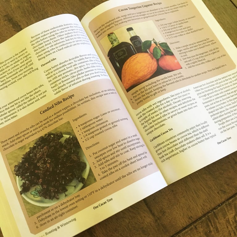 One Cacao Tree Image 4