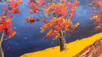 Image 4 of - Autumn's Path -