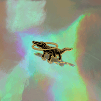 Image 2 of CROCO