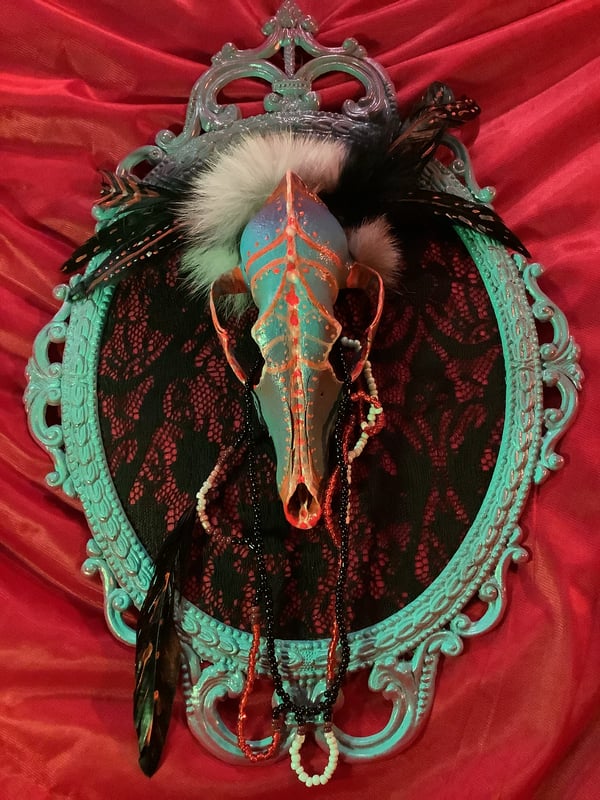 Image of "Glass Tears" -Coyote skull 