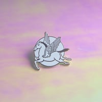Image 2 of PEGASUS