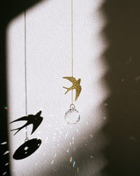 Image 4 of Atrapaluces Golondrina