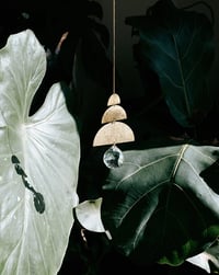 Image 2 of Atrapaluces Atardecer