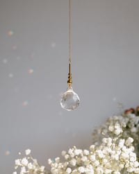 Image 5 of Atrapaluces Bolitas