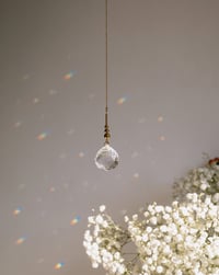 Image 4 of Atrapaluces Bolitas